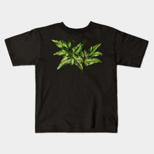 Unknown fern sp - Botanical illustration Kids T-Shirt